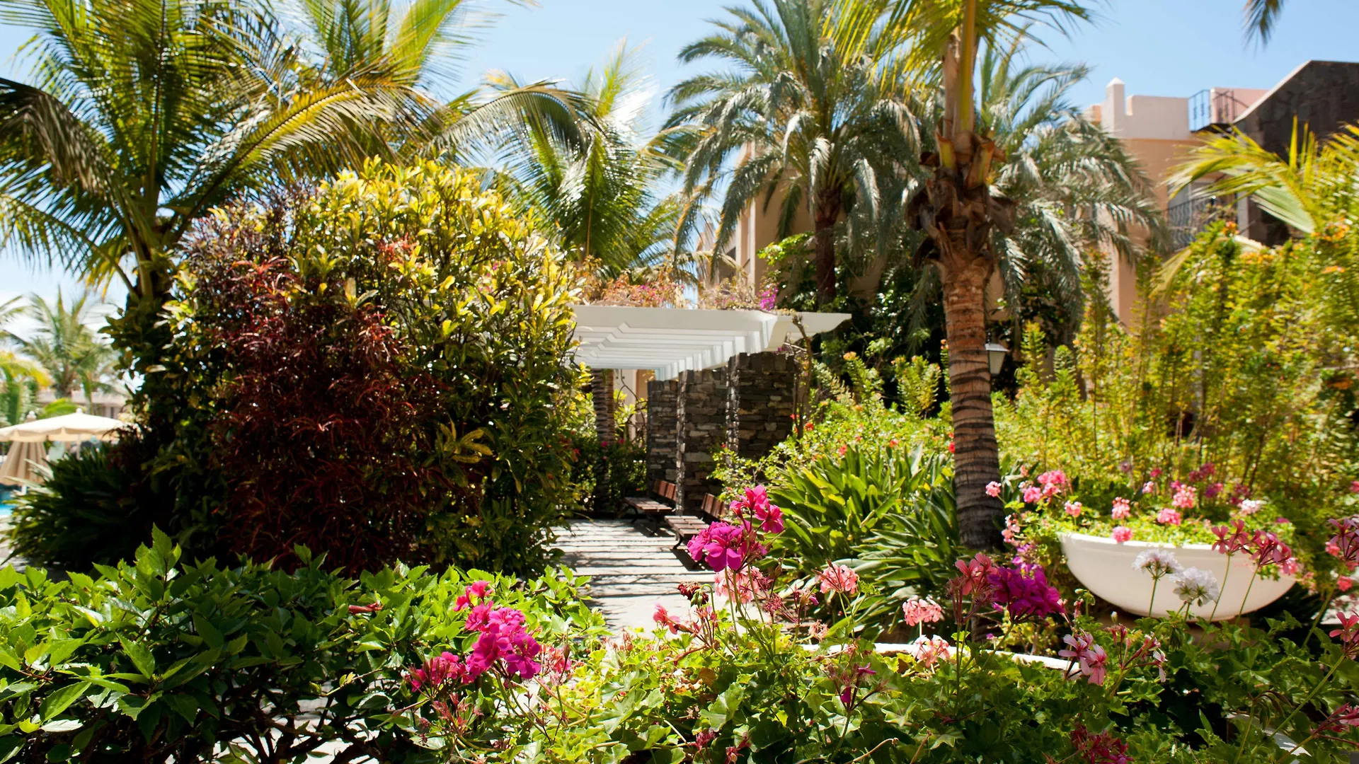Palm Oasis Maspalomas Maspalomas  Maspalomas (Gran Canaria)