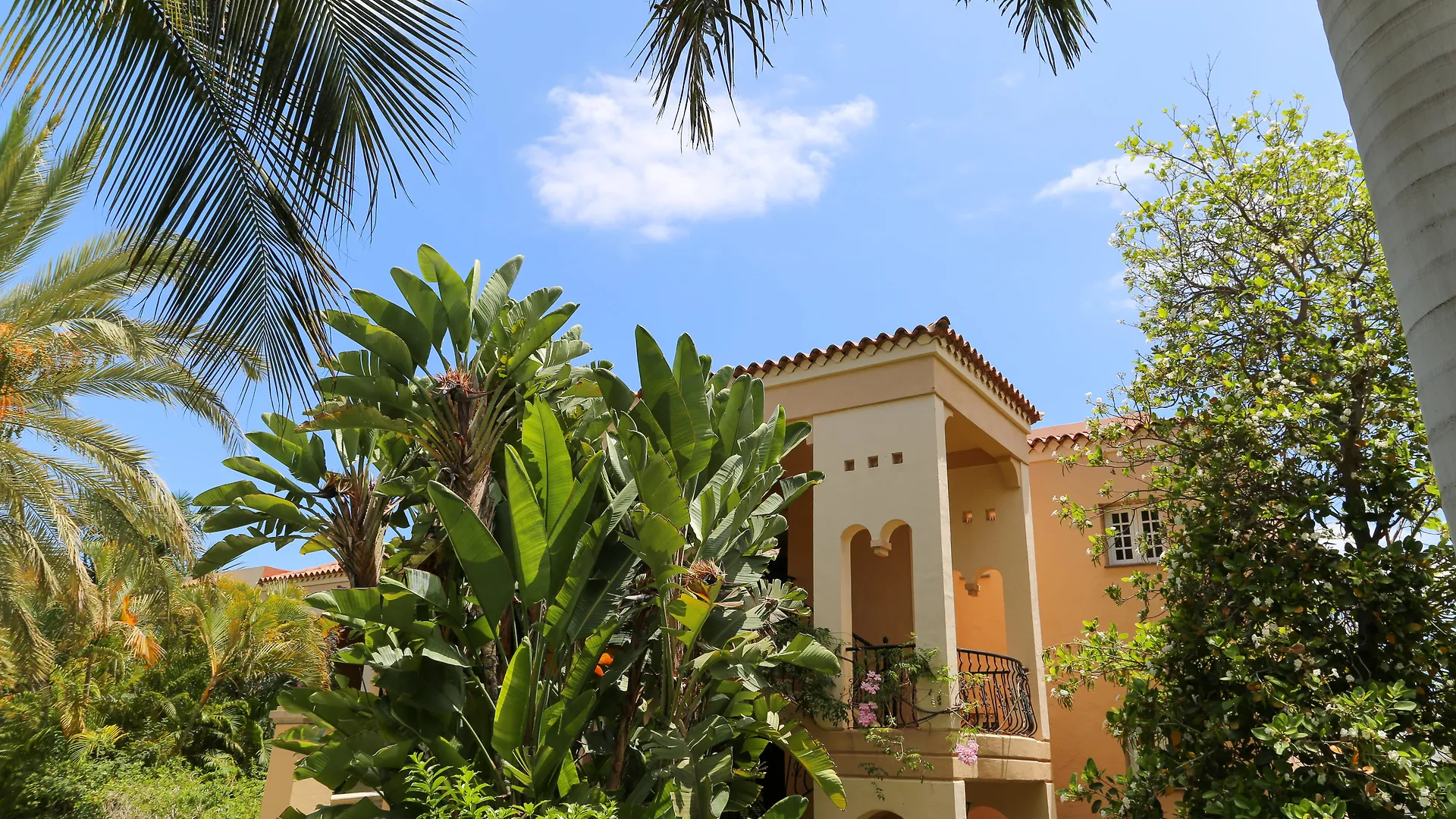 ***  Palm Oasis Maspalomas Hotel Maspalomas  Spanje