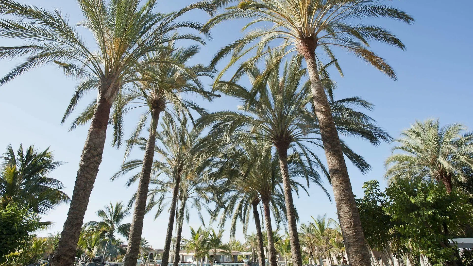 Palm Oasis Maspalomas Hotel Maspalomas